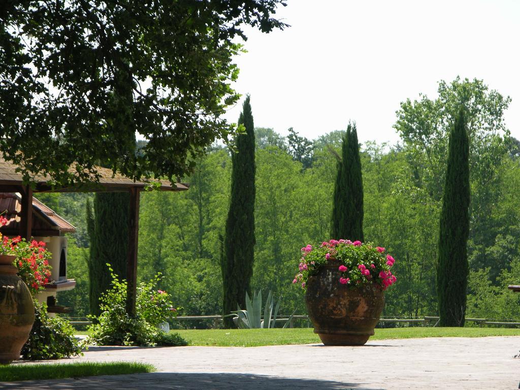 Podere Il Giurato Fauglia Εξωτερικό φωτογραφία